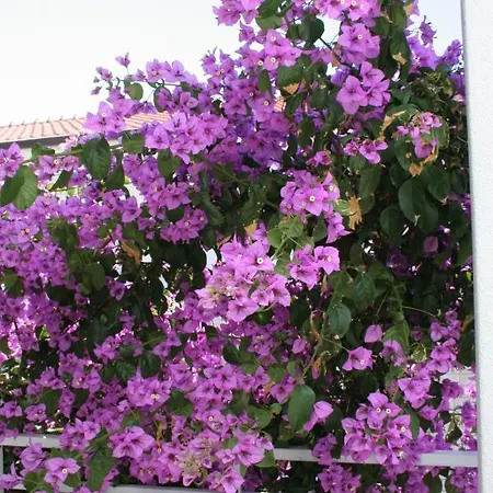 Appartement With A Parking Space Hvar - 4593 Hvar Town